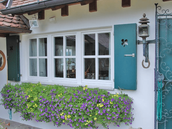 Fenster Bild